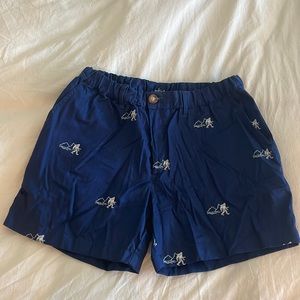 Chubbies mens shorts